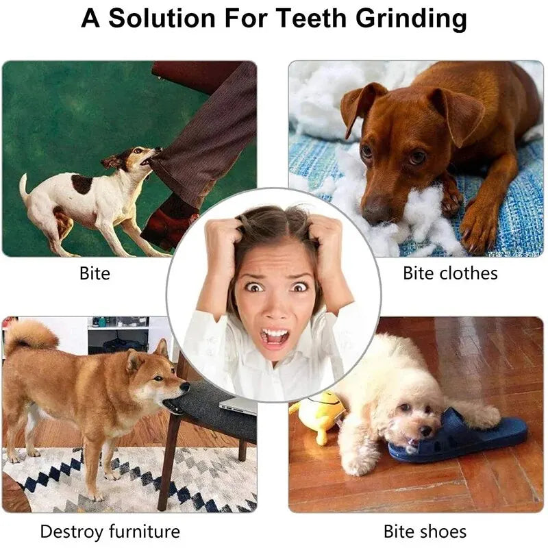 Bite-Resistant Dog Toy Ball – Slow Feeder &amp; Chew Toy