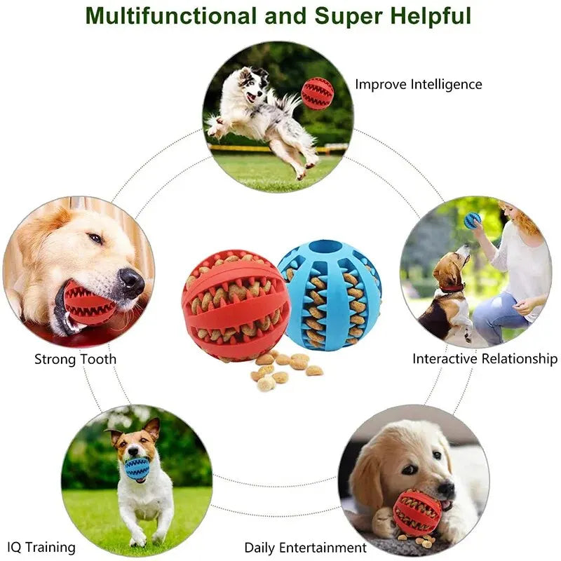 Bite-Resistant Dog Toy Ball – Slow Feeder &amp; Chew Toy