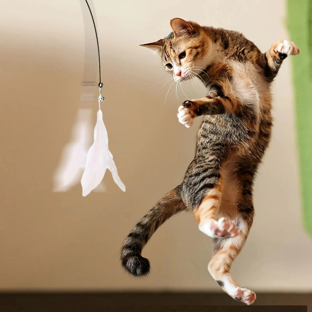 Interactive Cat Wand Toy – Feather &amp; Bell with Suction Base