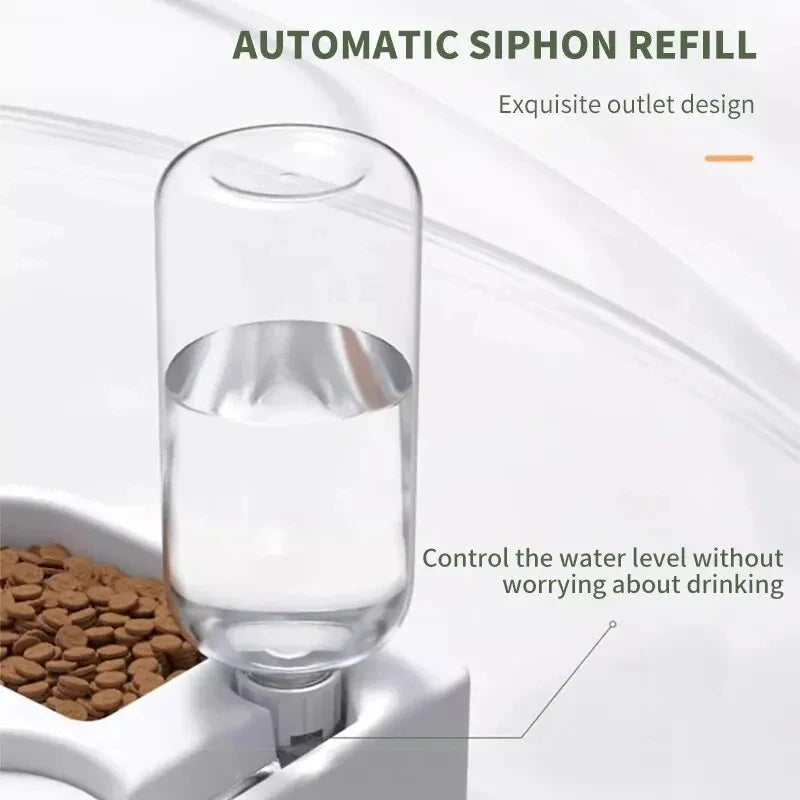 No-Spill Pet Bowl – Dual Feed &amp; Water Dish